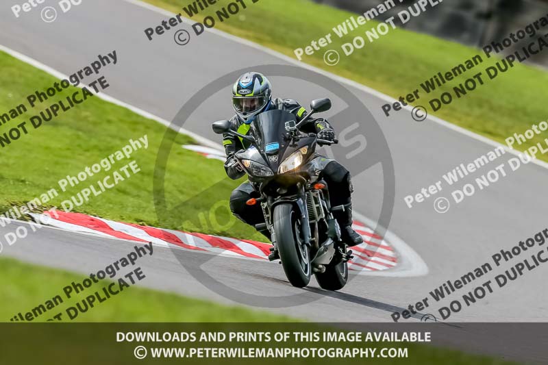 Oulton Park 21st March 2020;PJ Motorsport Photography 2020;anglesey;brands hatch;cadwell park;croft;donington park;enduro digital images;event digital images;eventdigitalimages;mallory;no limits;oulton park;peter wileman photography;racing digital images;silverstone;snetterton;trackday digital images;trackday photos;vmcc banbury run;welsh 2 day enduro